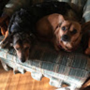 Meet your Posher, Dana